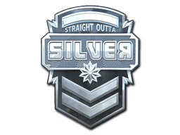 Item Sticker | Silver (Foil)