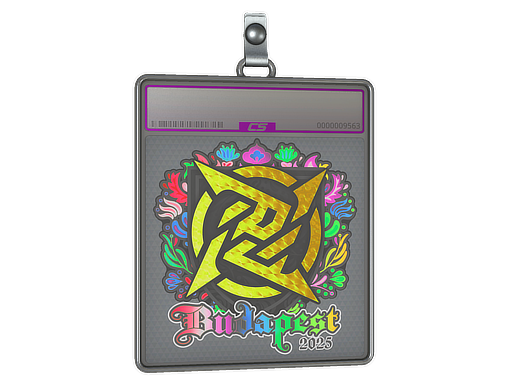 Item Sticker Slab | Ninjas in Pyjamas (Holo) | Budapest 2025