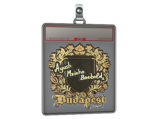 Item Sticker Slab | mzinho (Gold) | Budapest 2025