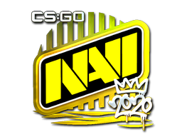 Item Sticker | Natus Vincere (Foil) | 2020 RMR