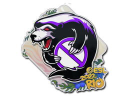 Item Sticker | Outsiders | Rio 2022