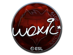 Item Sticker | woxic (Foil) | Katowice 2019