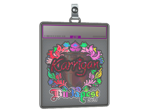 Item Sticker Slab | karrigan (Holo) | Budapest 2025