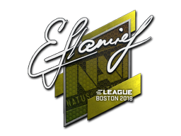 Item Sticker | flamie | Boston 2018