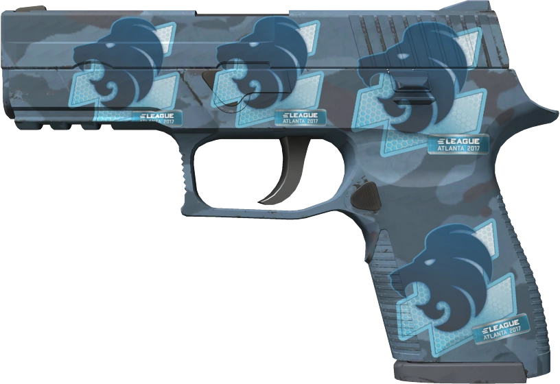 Item P250 | Forest Night