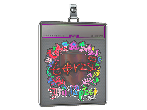 Item Sticker Slab | torzsi (Holo) | Budapest 2025