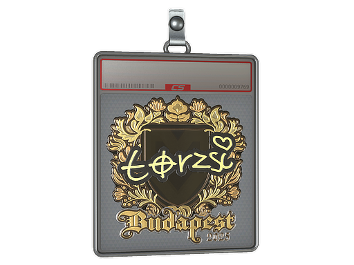 Item Sticker Slab | torzsi (Gold) | Budapest 2025