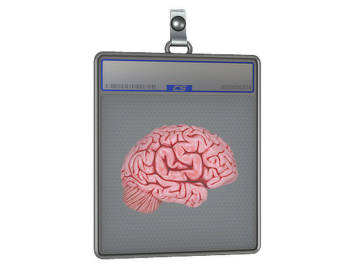 Item Sticker Slab | CS On The Mind