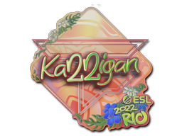 Item Sticker | karrigan (Holo) | Rio 2022
