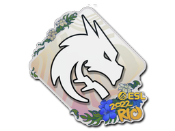 Item Sticker | Team Spirit | Rio 2022