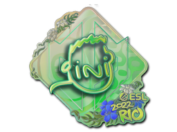Item Sticker | VINI (Holo) | Rio 2022