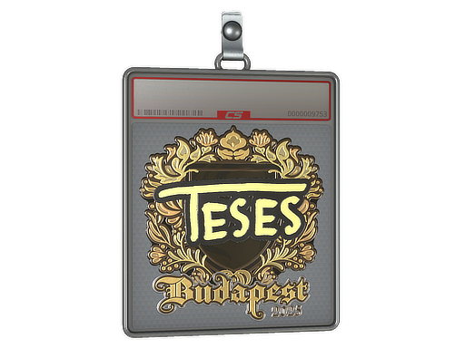 Item Sticker Slab | TeSeS (Gold) | Budapest 2025