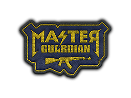 Item Patch | Metal Master Guardian I