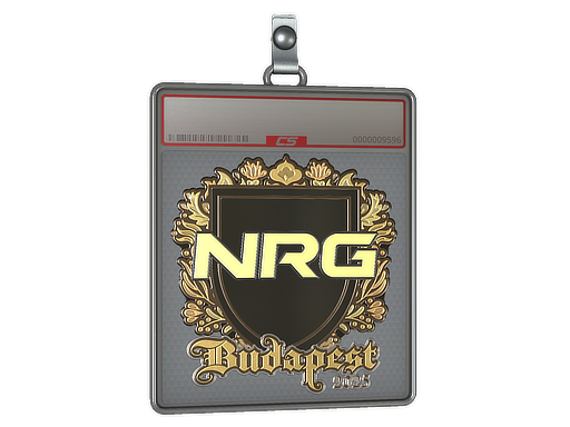 Item Sticker Slab | NRG (Gold) | Budapest 2025