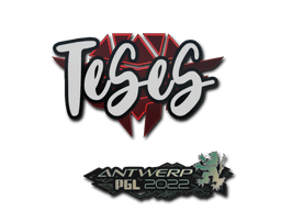 Item Sticker | TeSeS | Antwerp 2022