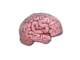 Cosmetic Sticker | CS On The Mind of Craft