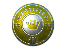 Item Sticker | The Pro (Foil)