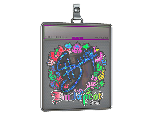 Item Sticker Slab | siuhy (Holo) | Budapest 2025