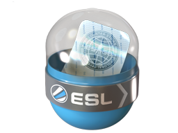 Item EMS Katowice 2014 Challengers