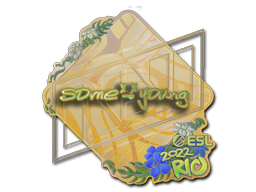 Item Sticker | sdy (Holo) | Rio 2022