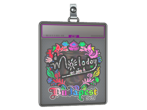 Item Sticker Slab | molodoy (Holo) | Budapest 2025