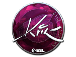 Item Sticker | Kvik (Foil) | Katowice 2019