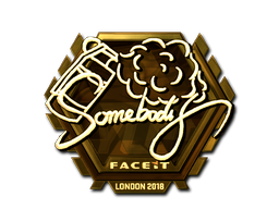 Item Sticker | somebody (Gold) | London 2018
