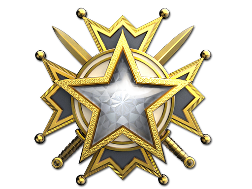 Item 2019 Service Medal