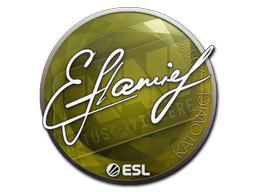 Item Sticker | flamie | Katowice 2019