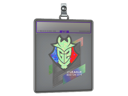 Item Sticker Slab | G2 Esports (Holo) | Boston 2018