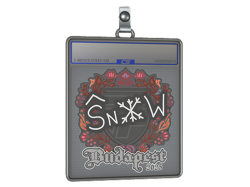 Item Sticker Slab | snow | Budapest 2025