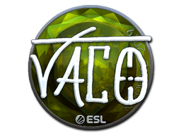 Item Sticker | TACO (Foil) | Katowice 2019