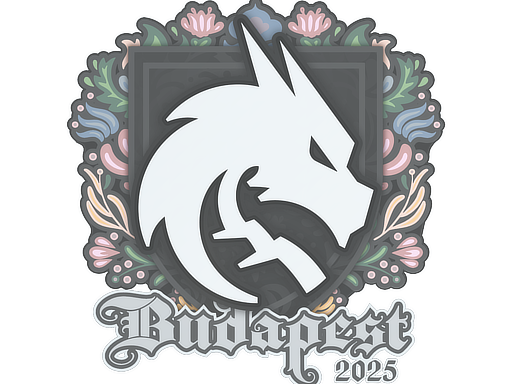 Item Sticker | Team Spirit | Budapest 2025