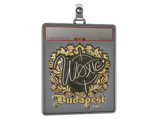 Item Sticker Slab | woxic (Gold) | Budapest 2025