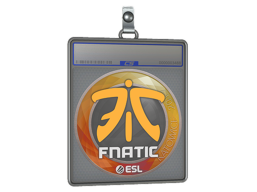 Item Sticker Slab | Fnatic | Katowice 2019
