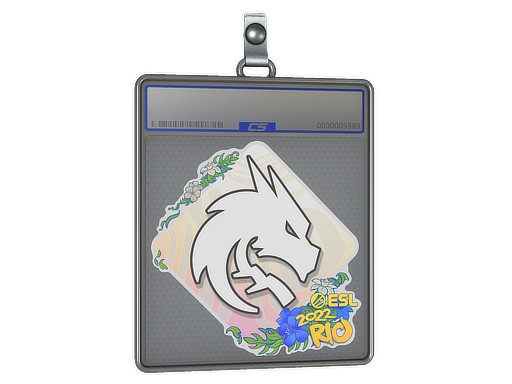 Item Sticker Slab | Team Spirit | Rio 2022