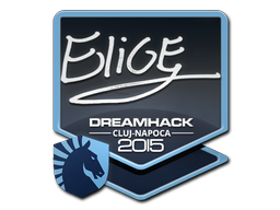 Item Sticker | EliGE | Cluj-Napoca 2015