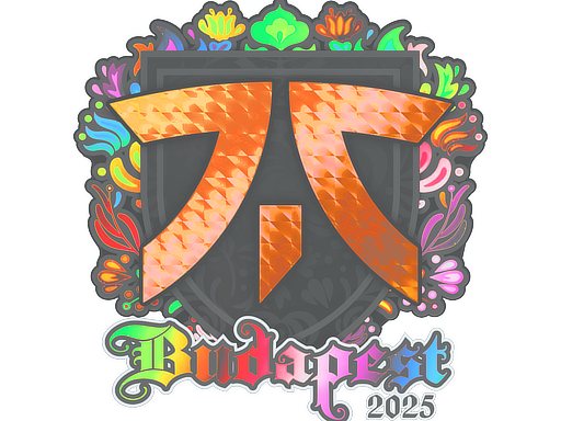 Item Sticker | fnatic (Holo) | Budapest 2025