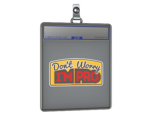 Item Sticker Slab | Don't Worry, I'm Pro
