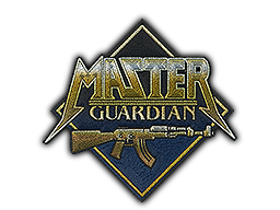 Item Patch | Metal Master Guardian