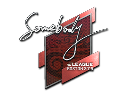 Item Sticker | somebody | Boston 2018