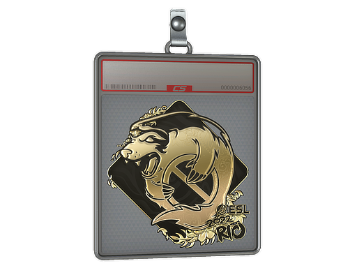 Item Sticker Slab | Outsiders (Gold) | Rio 2022