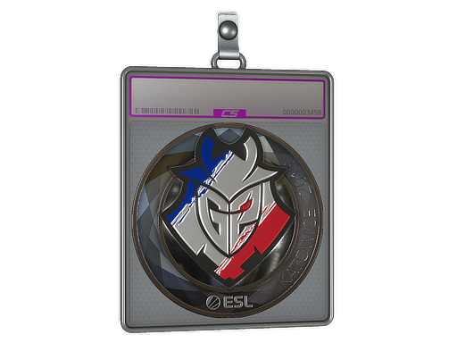 Item Sticker Slab | G2 Esports (Foil) | Katowice 2019