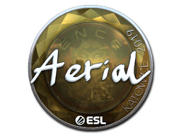 Item Sticker | Aerial (Foil) | Katowice 2019