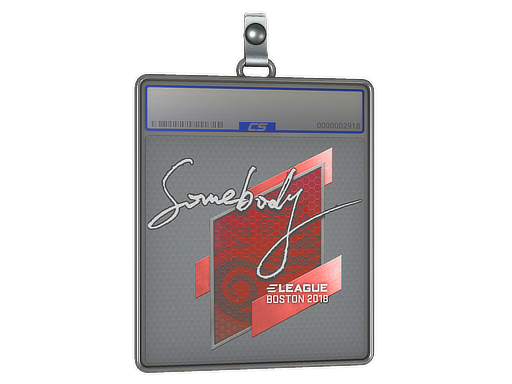 Item Sticker Slab | somebody | Boston 2018