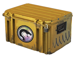 Item Recoil Case