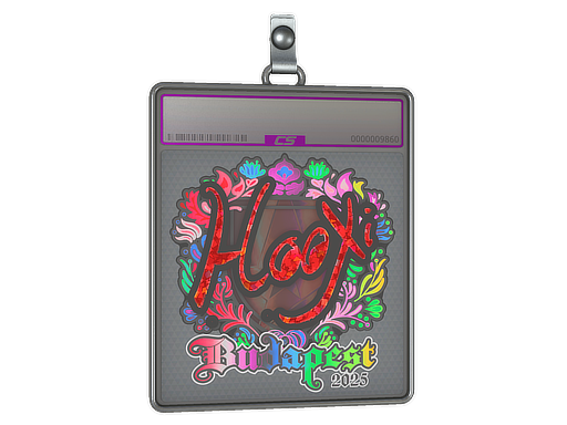 Item Sticker Slab | HooXi (Holo) | Budapest 2025