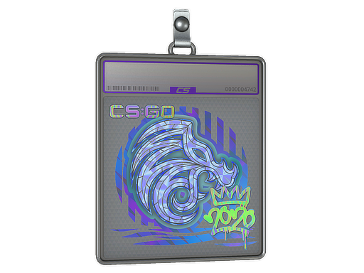 Item Sticker Slab | North (Holo) | 2020 RMR