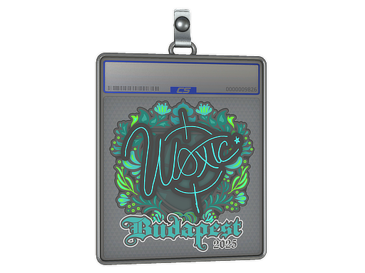 Item Sticker Slab | woxic | Budapest 2025