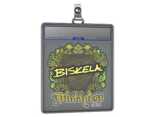 Item Sticker Slab | Aleksib | Budapest 2025